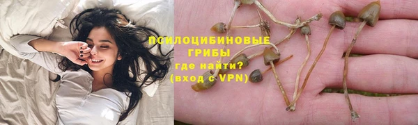 не бодяженный Аркадак