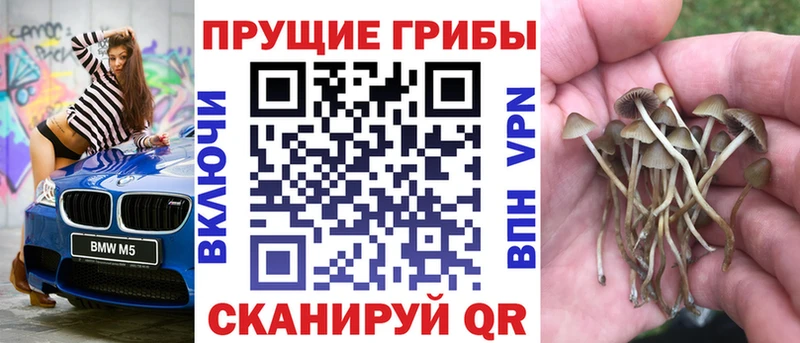 Псилоцибиновые грибы Cubensis  Нея 
